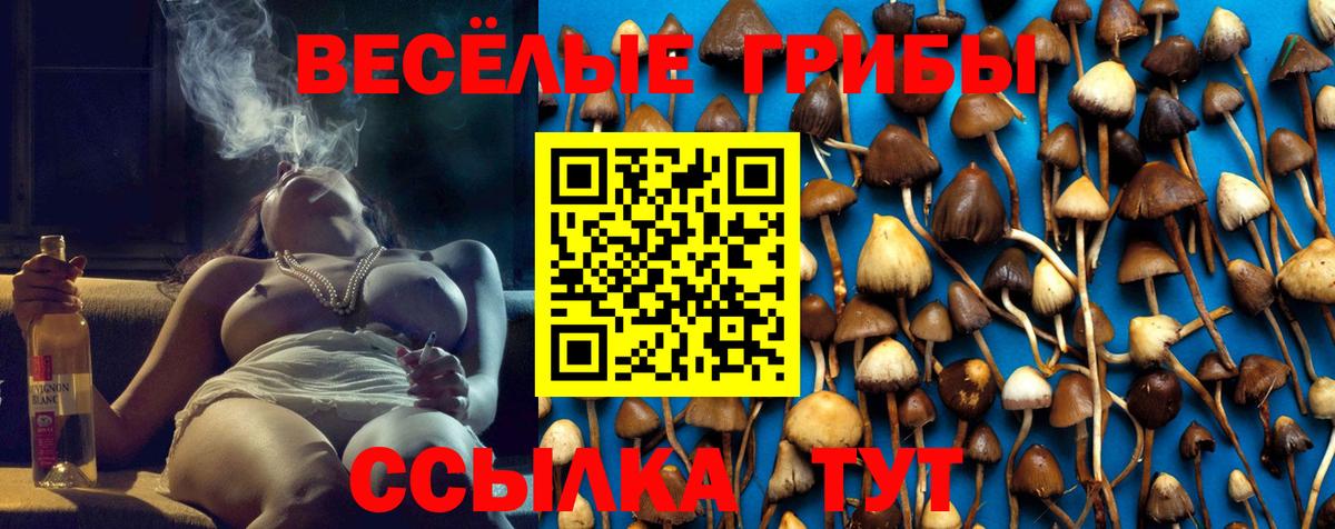 где продают наркотики  Псилоцибиновые грибы Magic Shrooms  Вход с VPN  Мытищи 