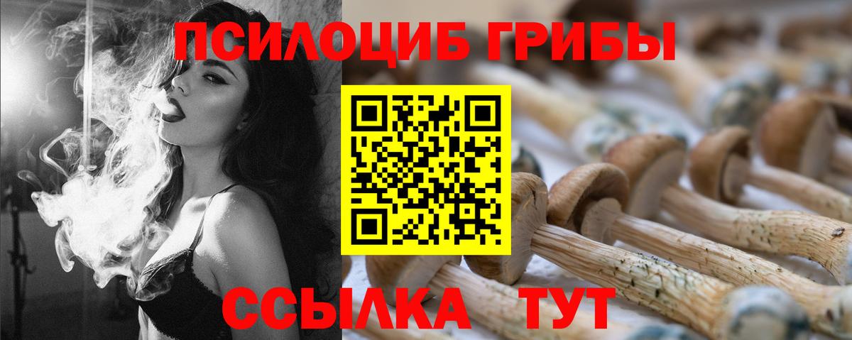 Галлюциногенные грибы GOLDEN TEACHER Мытищи